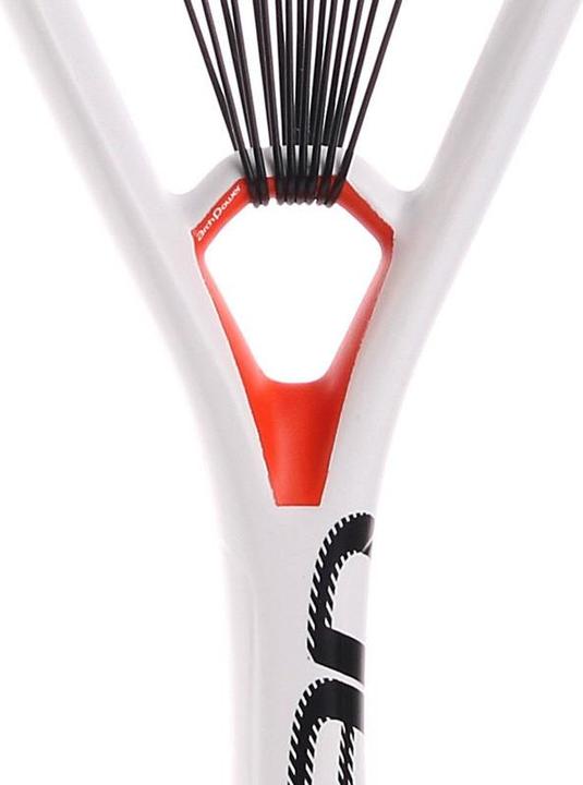 Produktbild Tecnifibre Dynergy AP 130