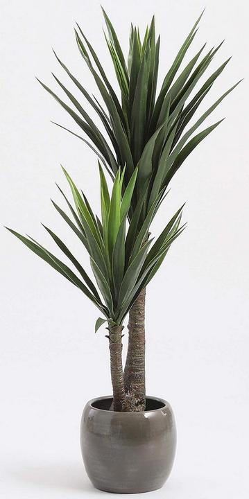 Actual product image Mica Yucca Decorations artificial plant H 120 cm Ø 70 cm green (120 cm)