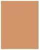 Actual product image Erborian CC Water Fresh Complexion Gel Skin Perfector (Caramel)