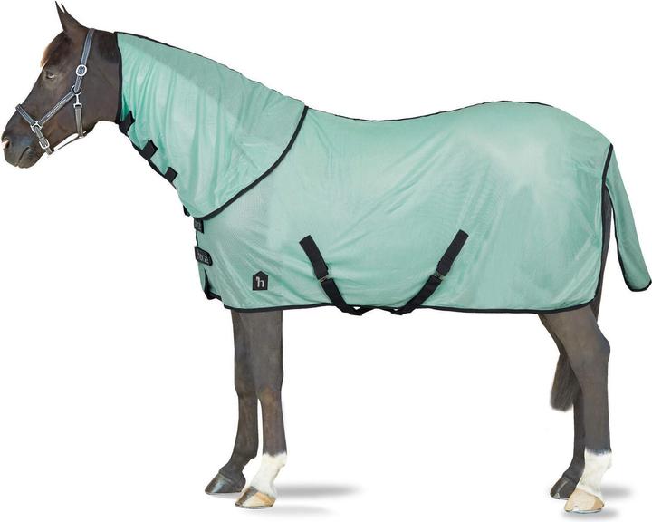 Actual product image Horze Paso Fino (155 cm)