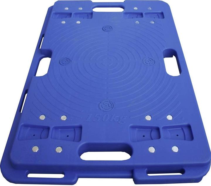 Actual product image Viso Transport roller plastic (150 kg)