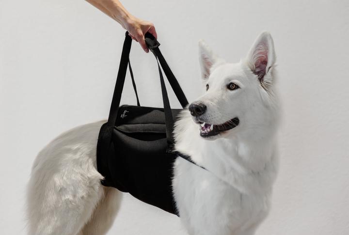 Actual product image Deek Pets Carrying strap "Walker" for dogs (Dog)