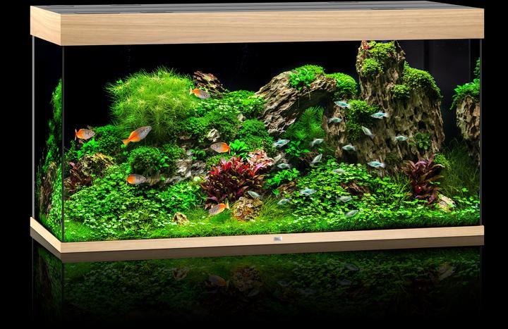 Immagine prodotto Juwel Aquarium Rio (350 l)