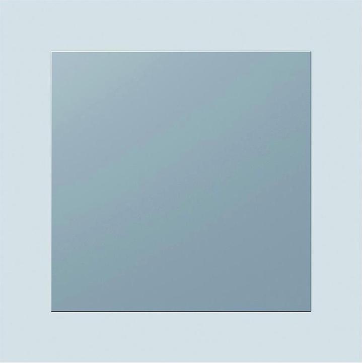 Image du produit Siedle Module aveugle