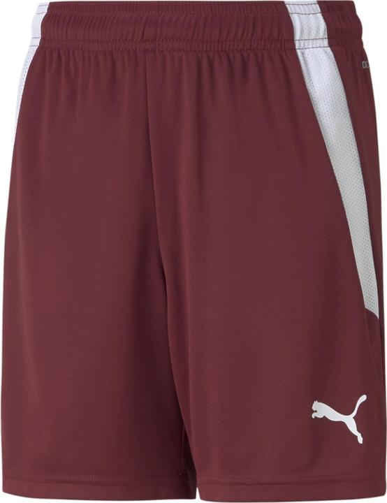 Image du produit Puma short teamLIGA Jr-704931 (128)