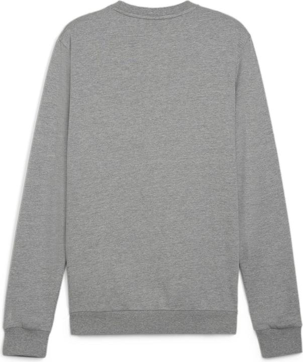 Actual product image Puma teamGOAL Casuals Crew Neck Sweat (3XL)