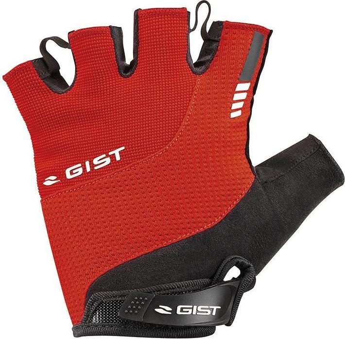 Gist Kontrol (M)