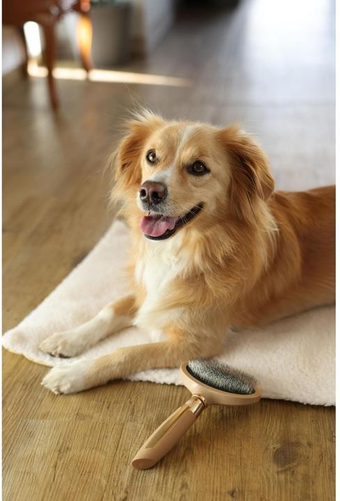 Produktbild Magic Brush Softzupfbürste für den Hund (Hund)