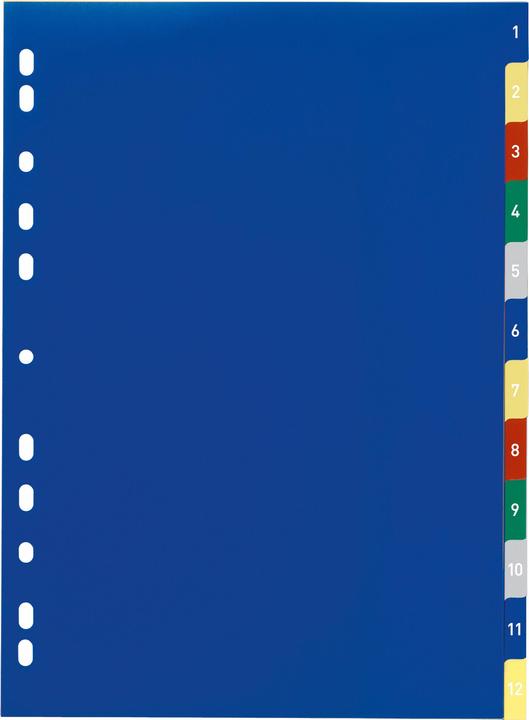 Produktbild Durable PP-Register, diverse Ausführungen, einzeln