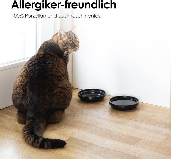 Actual product image LucyBalu BOWL Porzellan Katzennapf