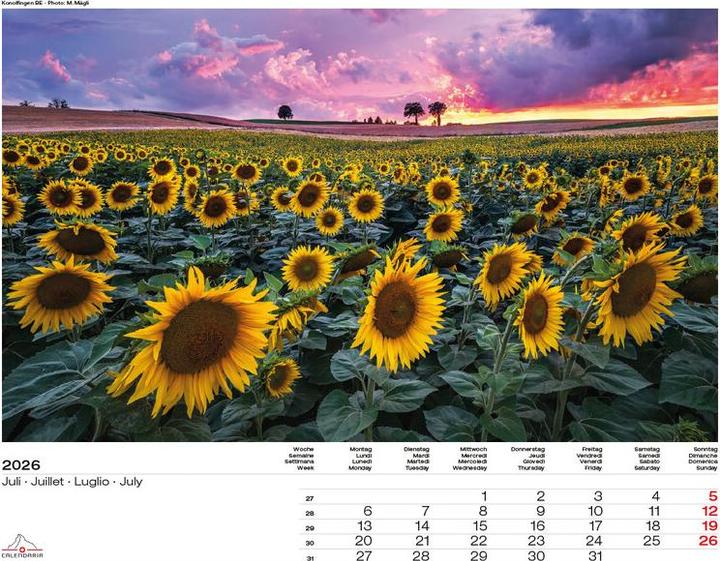 Produktbild Swiss Panorama 2026 (40 x 31 cm, Harter Einband, Französisch, Deutsch, Englisch, Italienisch)