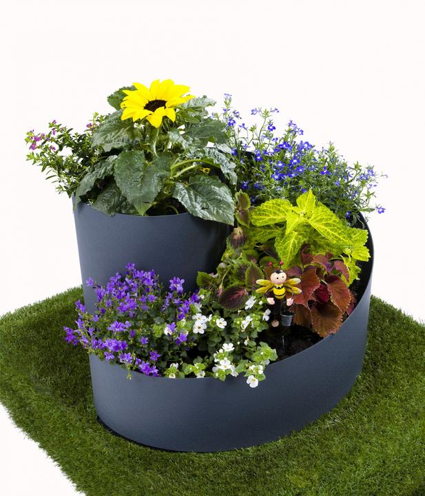 Actual product image FVG Herb spiral