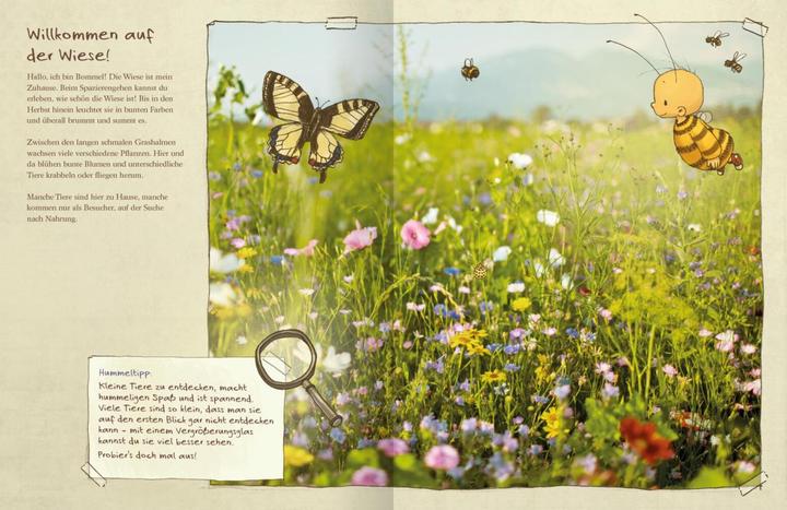 Immagine prodotto Die kleine Hummel Bommel entdeckt die Wiese (Tedesco, Britta Sabbag, Maite Kelly, 2019)