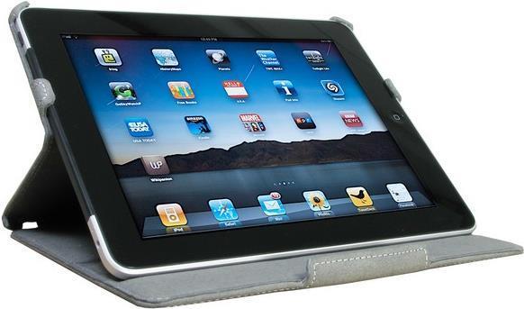 Actual product image Intertech Coba NitroX DO-37 grey (iPad)