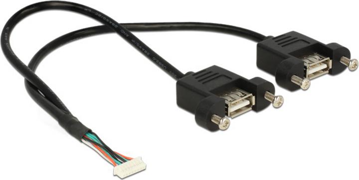 Actual product image Delock USB cable internal to external (0.25 m)