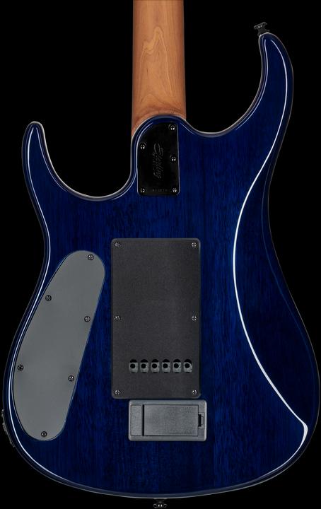 Immagine prodotto E-Gitarre, JP150, DiMarzio, Cerulean Paradise, Tasche (Chitarra elettrica, Acciaio inossidabile, Ebano, Top in acero spalted)