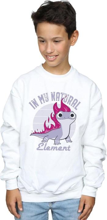 Produktbild Disney Frozen 2 Salamander Bruni Element Sweatshirt Jungen (152, 158)