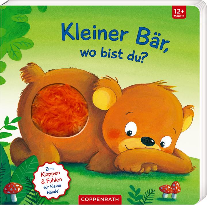 Produktbild Mein erstes Guckloch-Fühlbuch: Kleiner Bär, wo bist du? (Deutsch, 2022)