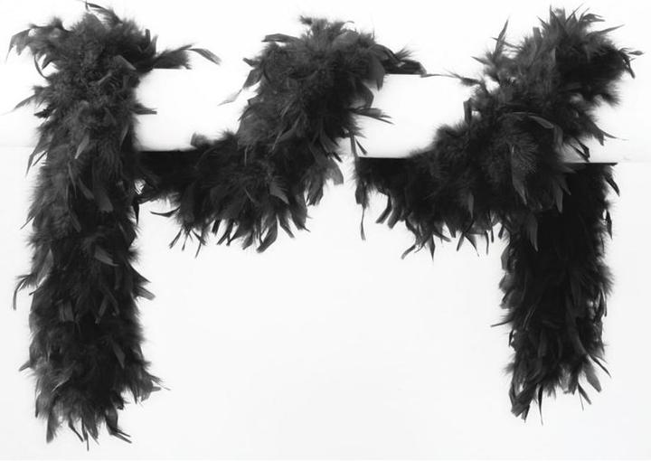 Wilbers Feather boa 180 cm