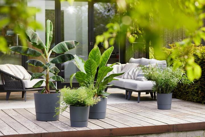 Image du produit Elho Blumenschale (43 cm)