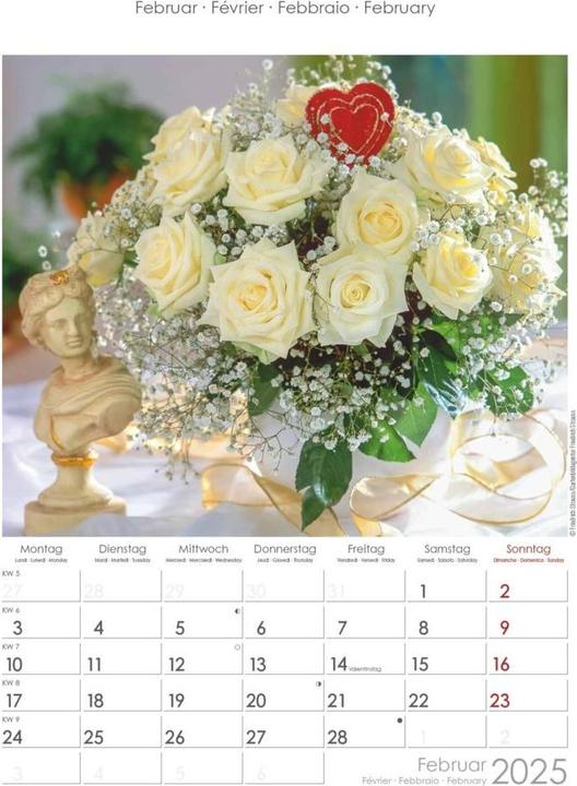 Actual product image Alpha Edition Rosenträume 2025 picture calendar, 23,7x34cm, wall calendar with space for notes and (Hardcover, German, Italian, French, English)