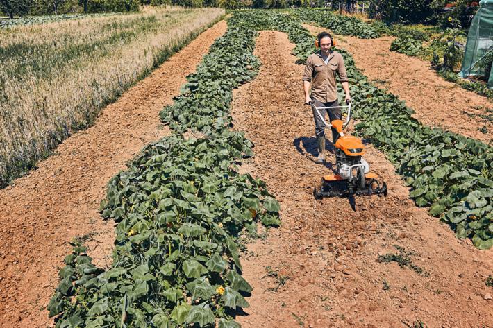 Immagine prodotto Stihl MH 600