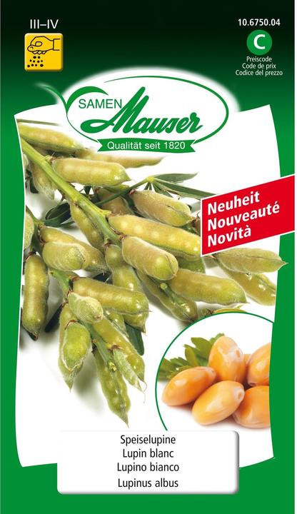 Actual product image Samen Mauser Seed food lupine (Seedlings)