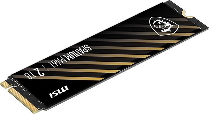 Actual product image MSI Spatium M461 (2000 GB, M.2 2280)