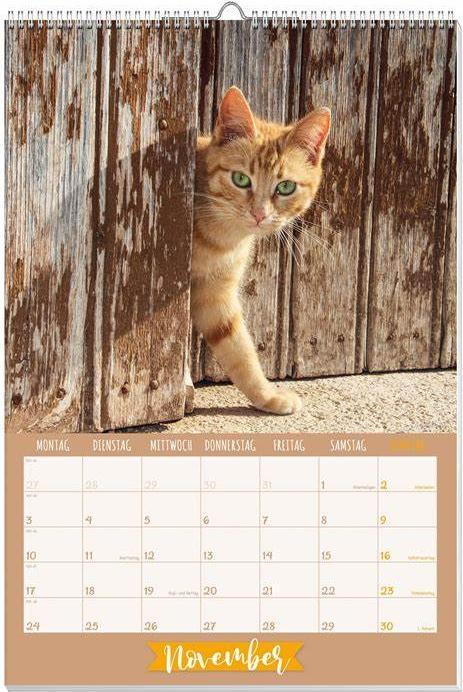 Produktbild Katzen Posterkalender 2025 (Deutsch)