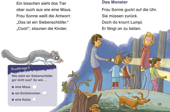 Actual product image Duden Leseprofi – Die geheimnisvolle Nachtwanderung, 1. Klasse (German, Alexandra Fischer-Hunold, 2021)