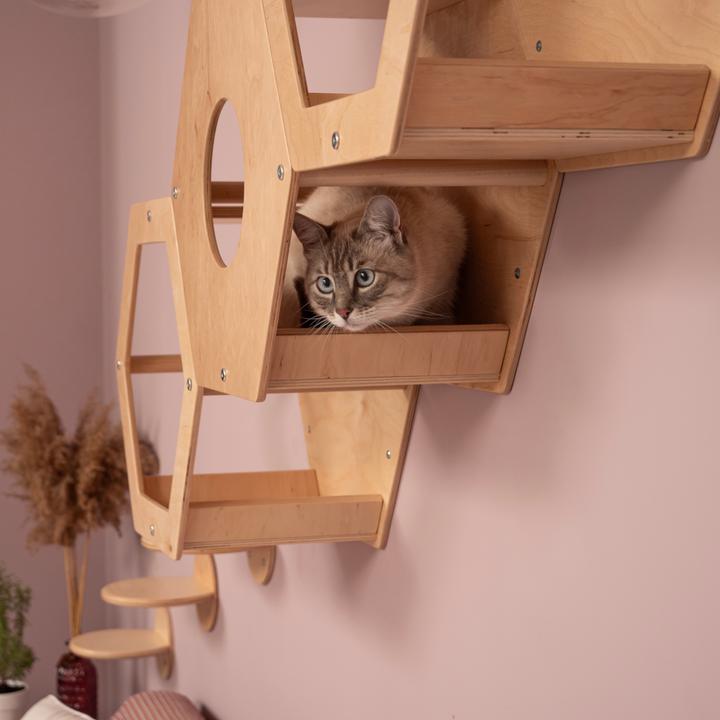 Actual product image Wowhelperco Aire de jeux murale pour chats 8 pièces (Nature)