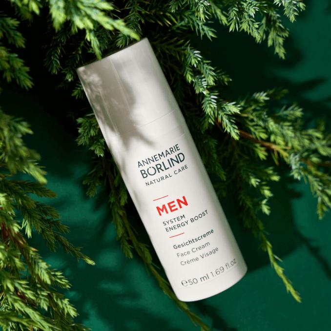 Actual product image Annemarie Börlind Men System Energy Boost (50 ml, Day cream)