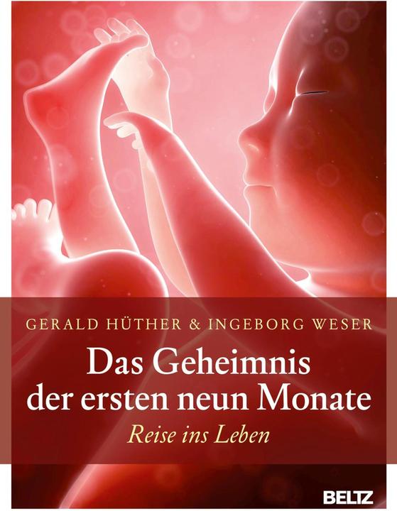 Actual product image Das Geheimnis der ersten neun Monate (German, Gerald Hüther, Ingeborg Weser, 2015)