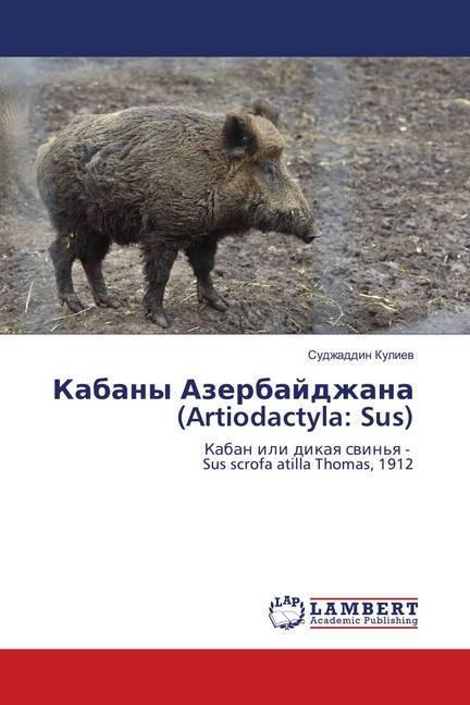 Immagine prodotto Kabany Azerbajdzhana (Artiodactyla: Sus) (Sudzhaddin Kuliev, 2018)