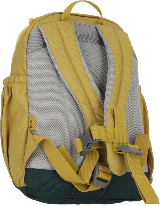 Actual product image Deuter Pico (5 l)