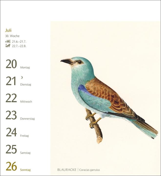 Produktbild Harenberg Vögel Postkartenkalender 2026 - Postkartenkalender mit 53 historischen Zeichnungen (Harter Einband, Deutsch)