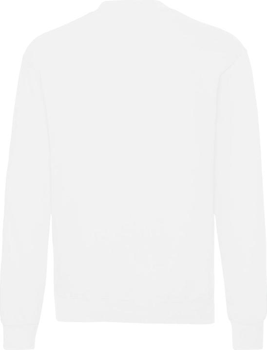 Actual product image Fruit of the Loom Mens Classic 80/20 Set-in Sweatshirt (L)