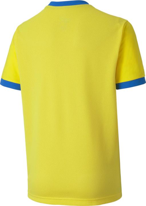 Actual product image Puma teamGOAL 23 Jersey jr-704160 (152)
