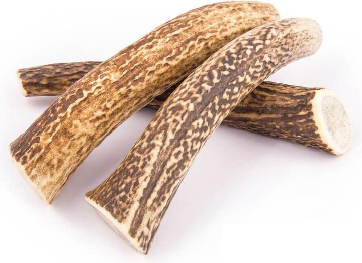 Actual product image 4Dogs Original 4DOGS 4DOGS for chewing L (HARD) (Dog chew toy)