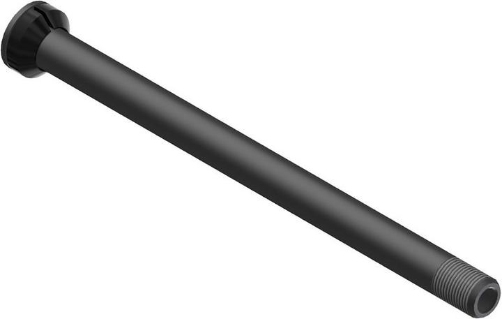 Actual product image DT Swiss RWS plug in