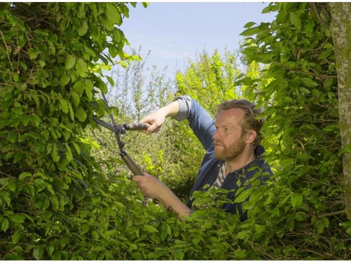 Immagine prodotto Gardena NatureCut (Tosasiepi)