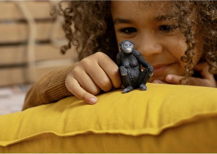 Image du produit Schleich Bonobo femelle