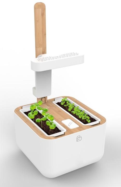 Produktbild Véritable Botaneo Eylo (18.40 cm)