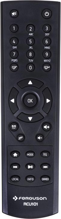 Produktbild Ferguson Regent i100 (DAB, FM, DAB+, Internetradio, Bluetooth, WLAN)