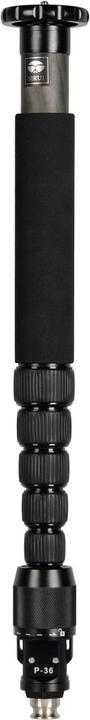 Immagine prodotto Sirui Adattatore P-36 per P-306, P-326, AM-306, AM-326 (Adattatore per stativo)