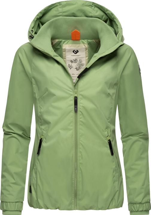 Verde chiaro24