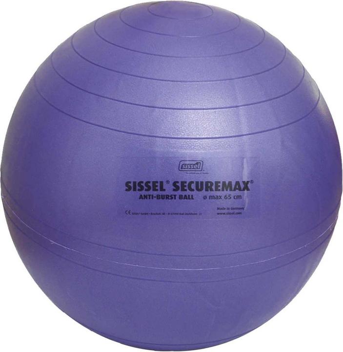 Image du produit Sissel Securemax (55 cm)