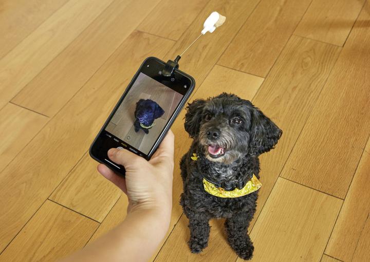 Produktbild Kikkerland Dog Treat Selfie Clip (Erziehung)