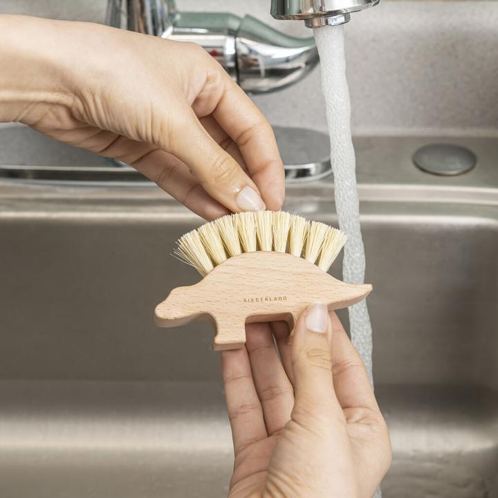 Actual product image Kikkerland Dino