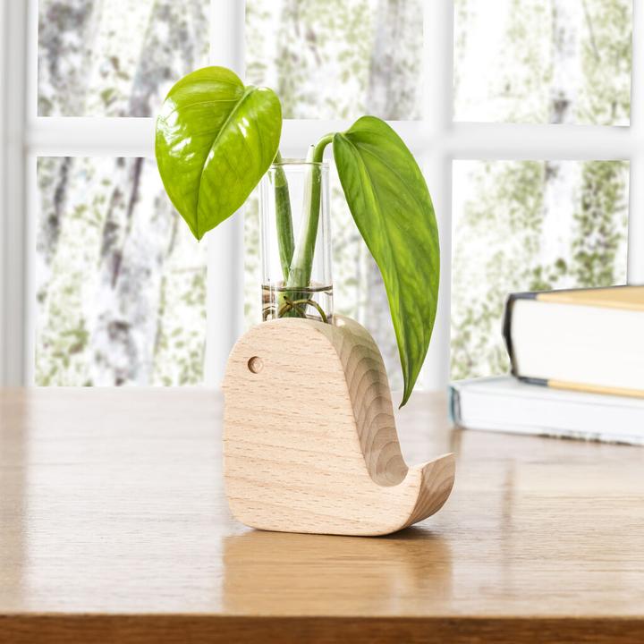 Actual product image Kikkerland Bird Propagation Vase (1 x)